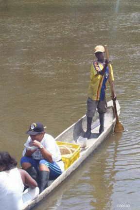 Canoa Guachal San Lorenzo Esmeraldas Ecuador Sudamerica